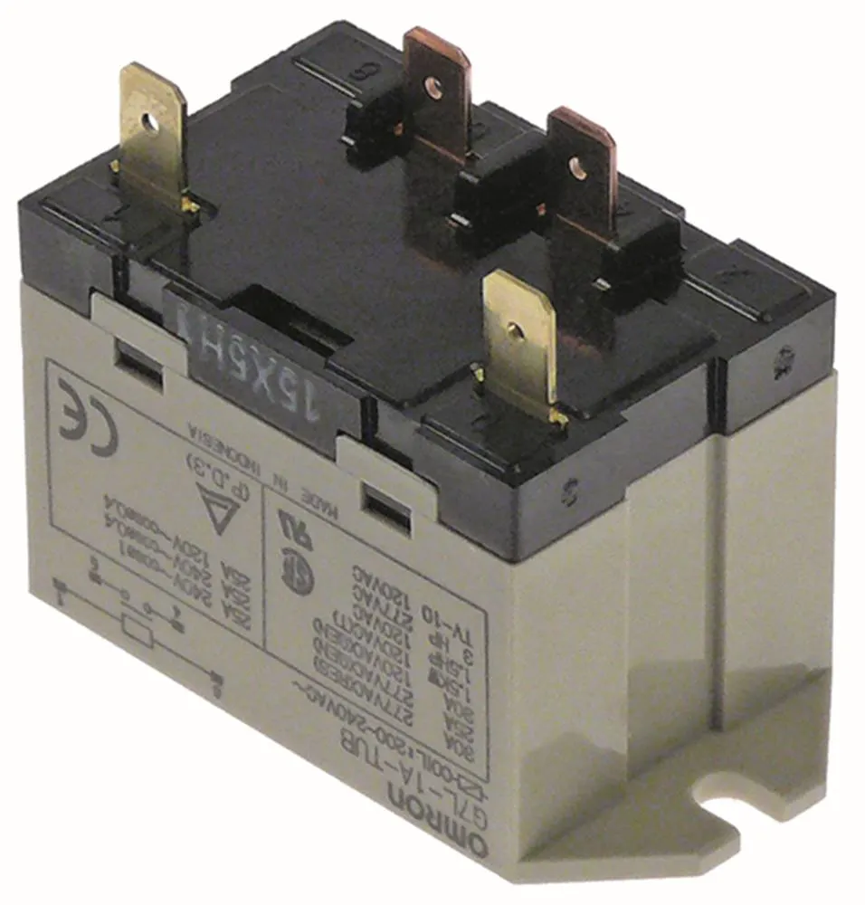 OMRON 15X5H1 Leistungsrelais für Lainox 1NO Anschluss F6,3 230VAC 30A