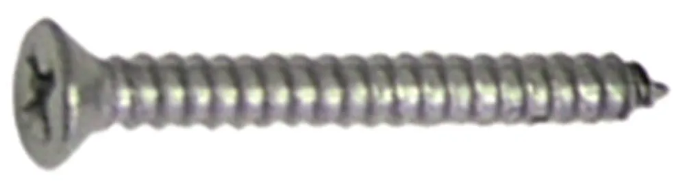 Blechschrauben Kopfdurchmesser 5,5mm VPE 20 Stück aus CNS ø 2,9mm