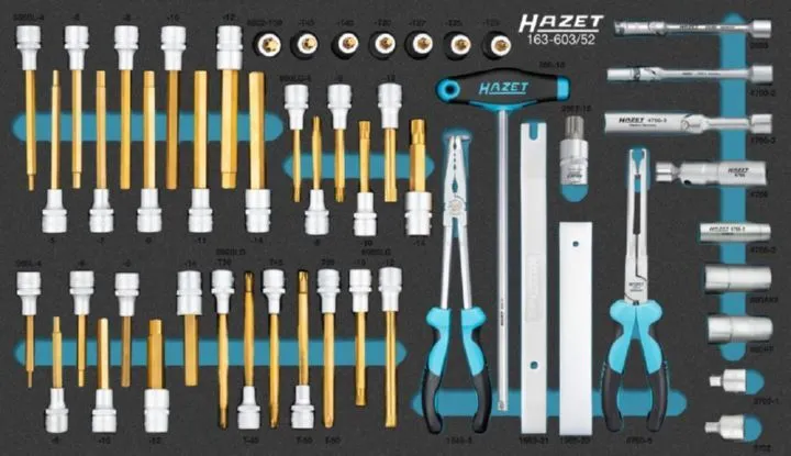 Hazet Schraubendreher Steckschlüsseleinsatz Satz 163-603/52 M6-M16
