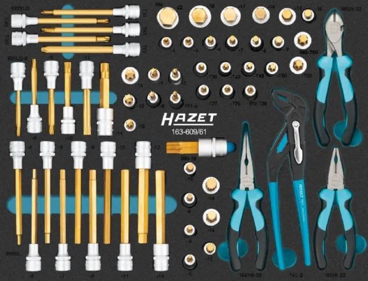 Hazet Schraubendreher Steckschlüsseleinsatz Satz 163-609/61 4 – 22